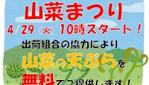 山菜まつり 開催です!! 山菜まつり 開催です!!
