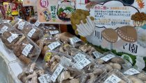 きのこがおいしい季節になりました! きのこがおいしい季節になりました!
