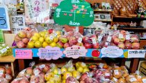 美味しいりんご入荷しました。 美味しいりんご入荷しました。